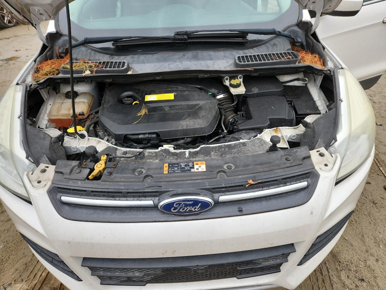 2015 Ford Escape Se VIN: 1FMCU0GX7FUC54208 Lot: 93203435