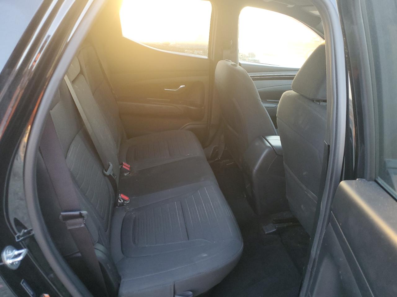 2023 Hyundai Santa Cruz Night VIN: 5NTJCDAF6PH075841 Lot: 92420095