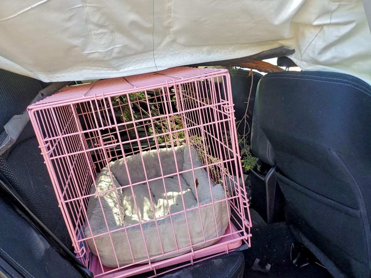 2017 Subaru Outback 2.5I Premium VIN: 4S4BSAHC4H3364192 Lot: 94087175