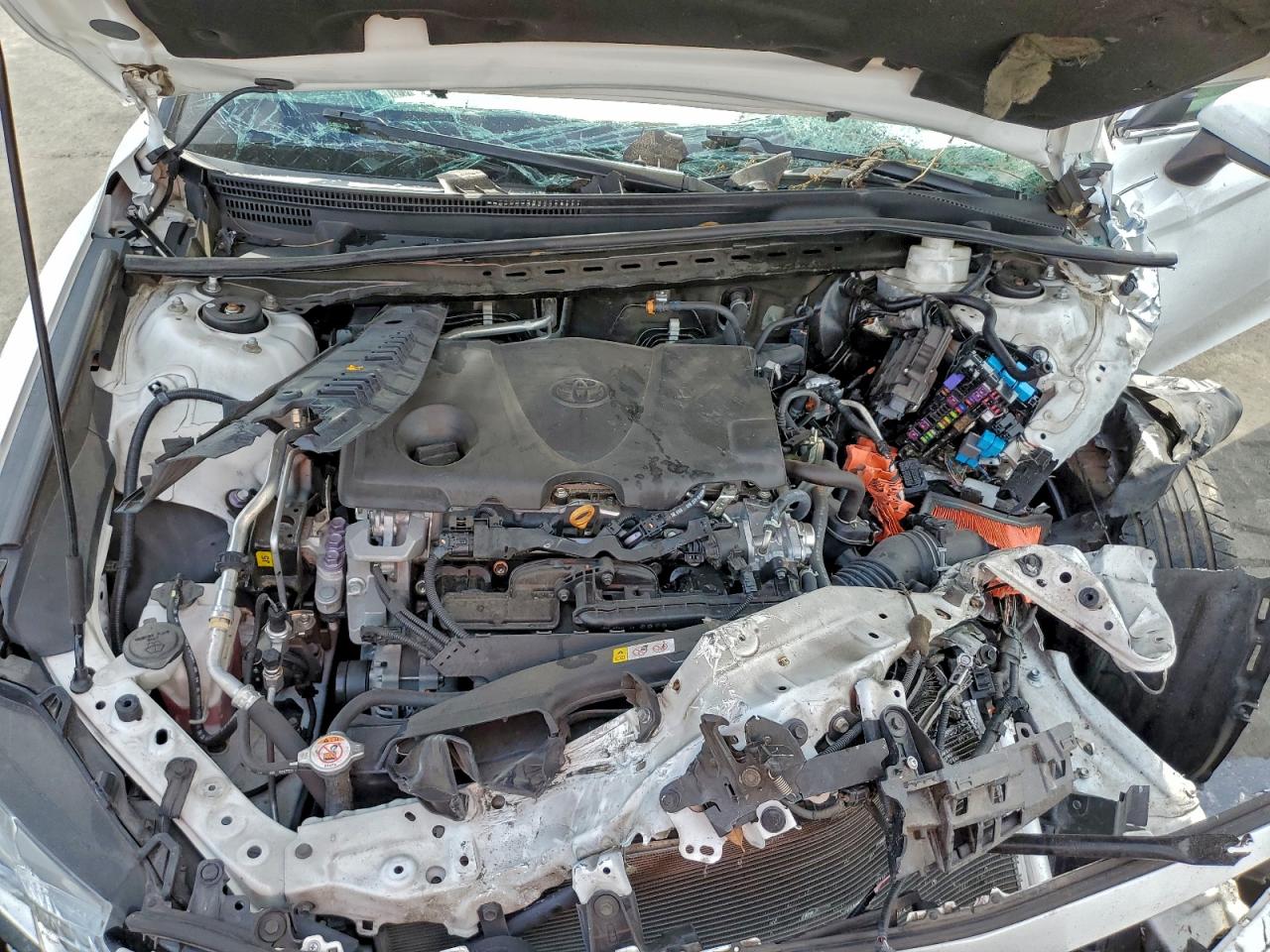 2021 Toyota Camry Le VIN: 4T1C11AK1MU538071 Lot: 94731175