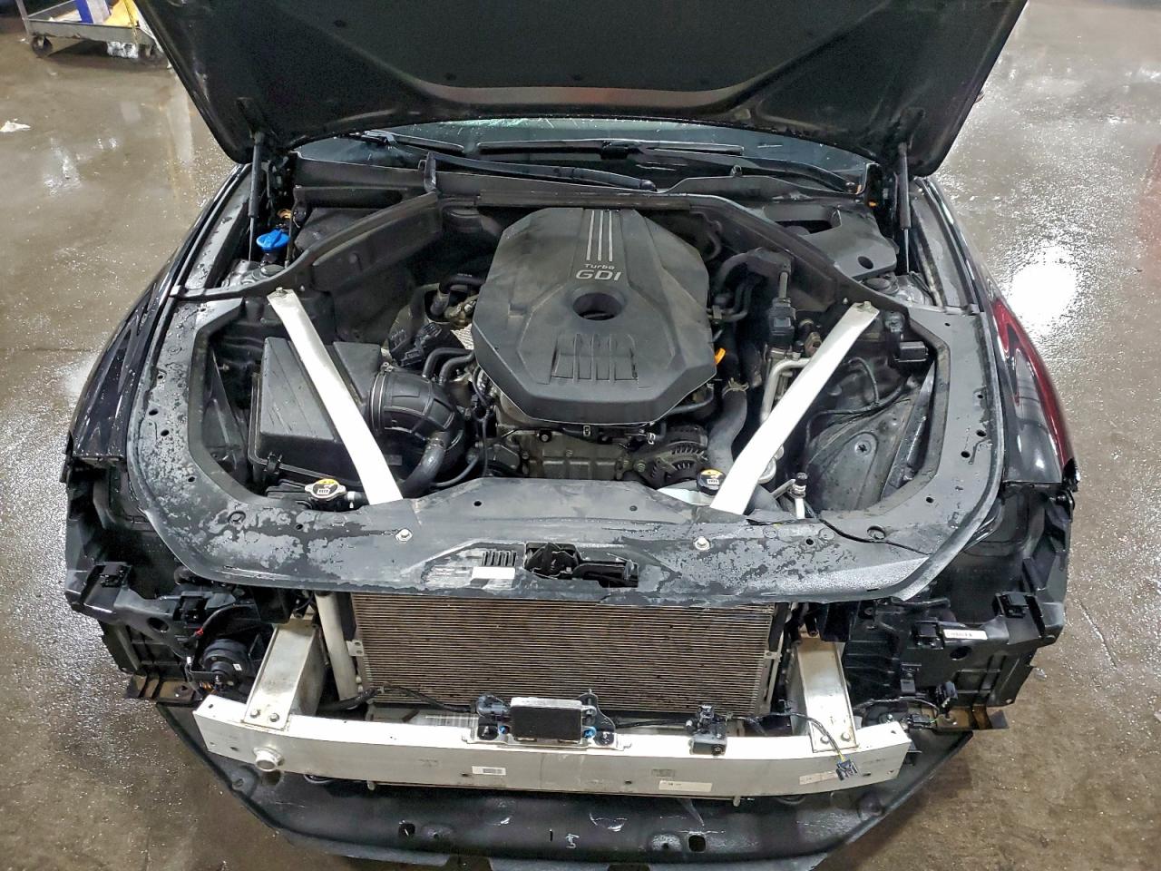 2019 Genesis G70 Prestige VIN: KMTG44LA9KU031629 Lot: 94073725