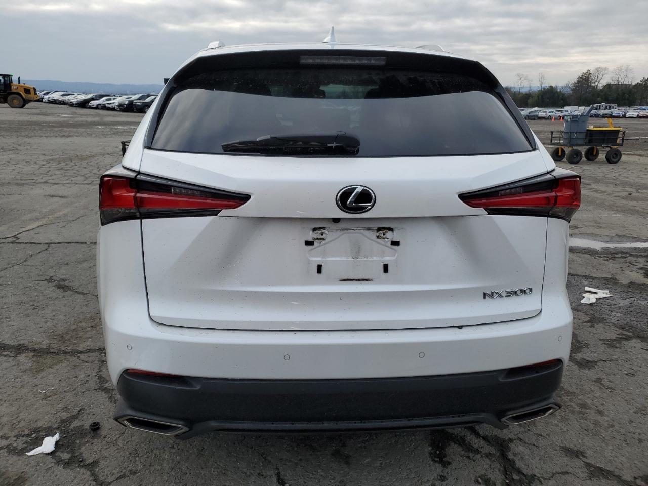 2020 Lexus Nx 300 VIN: JTJGARDZXL5012301 Lot: 92990855