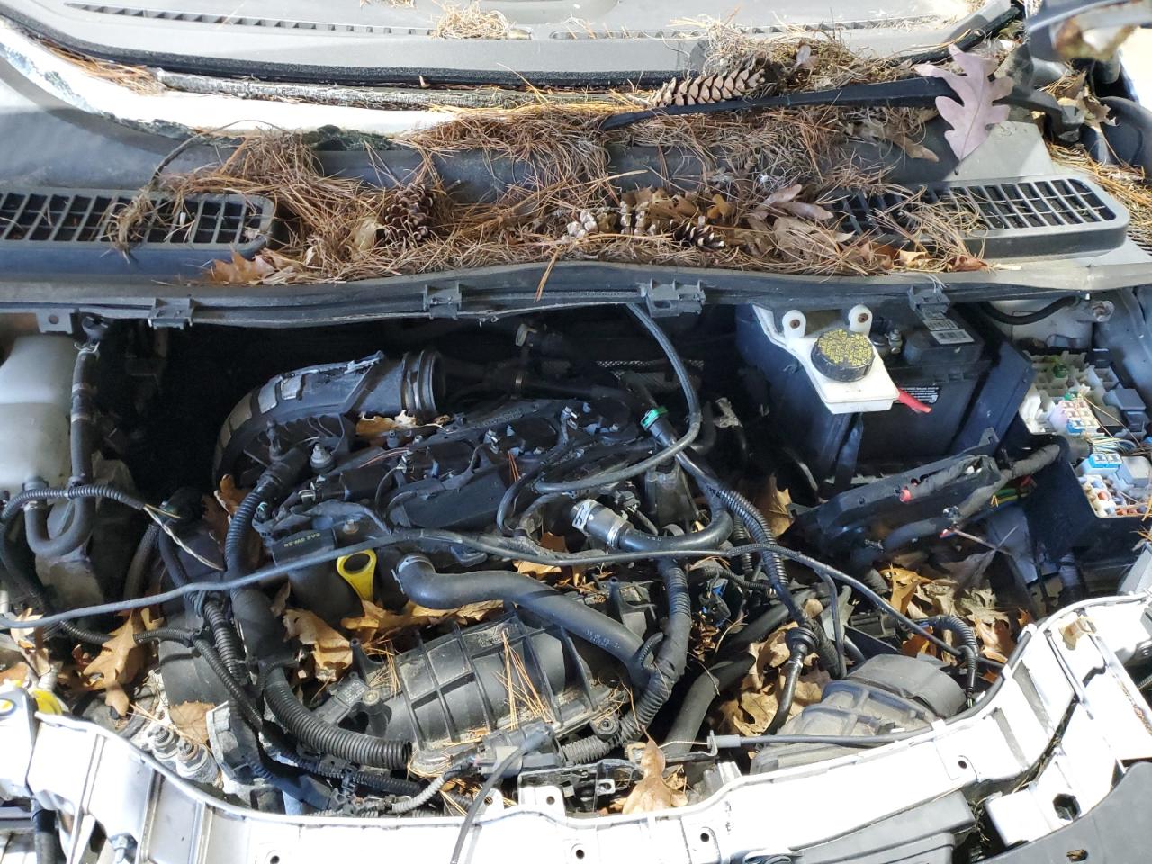 2014 Ford Escape Se VIN: 1FMCU0GX6EUA40437 Lot: 92160685