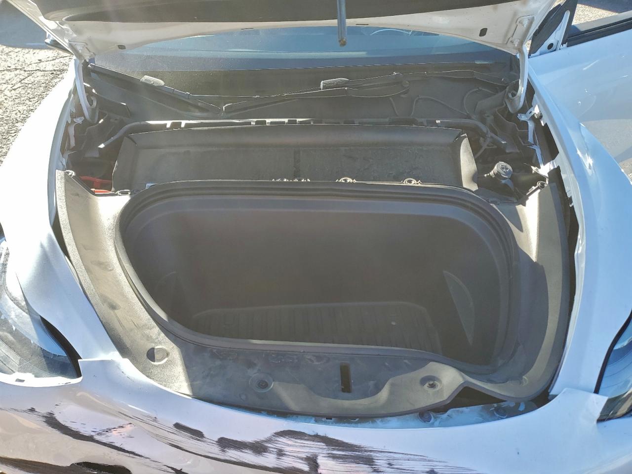 2024 Tesla Model Y VIN: 7SAYGDED1RF055396 Lot: 94600445