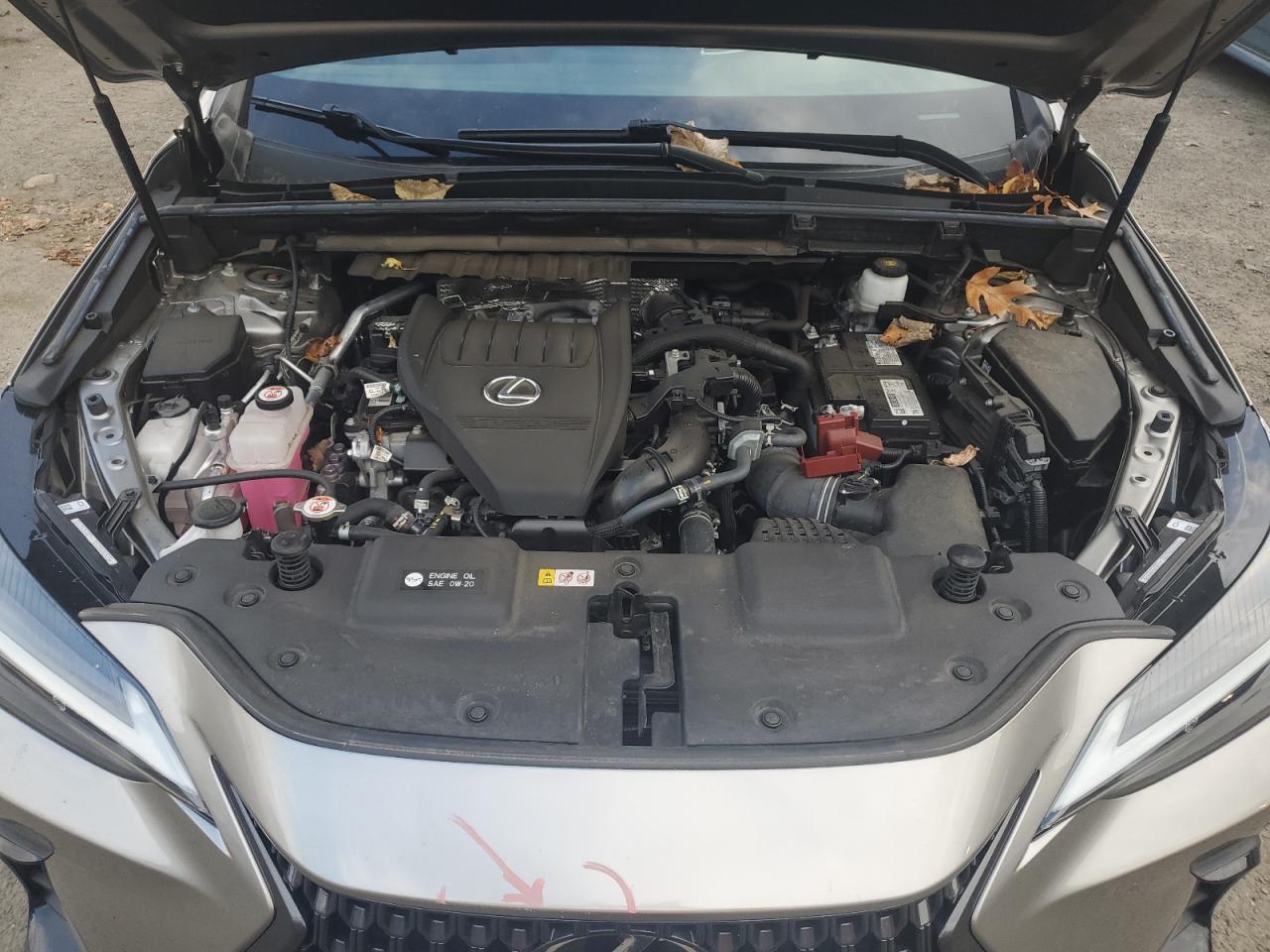 2022 Lexus Nx 350 VIN: 2T2AGCEZ4NC013142 Lot: 91204735