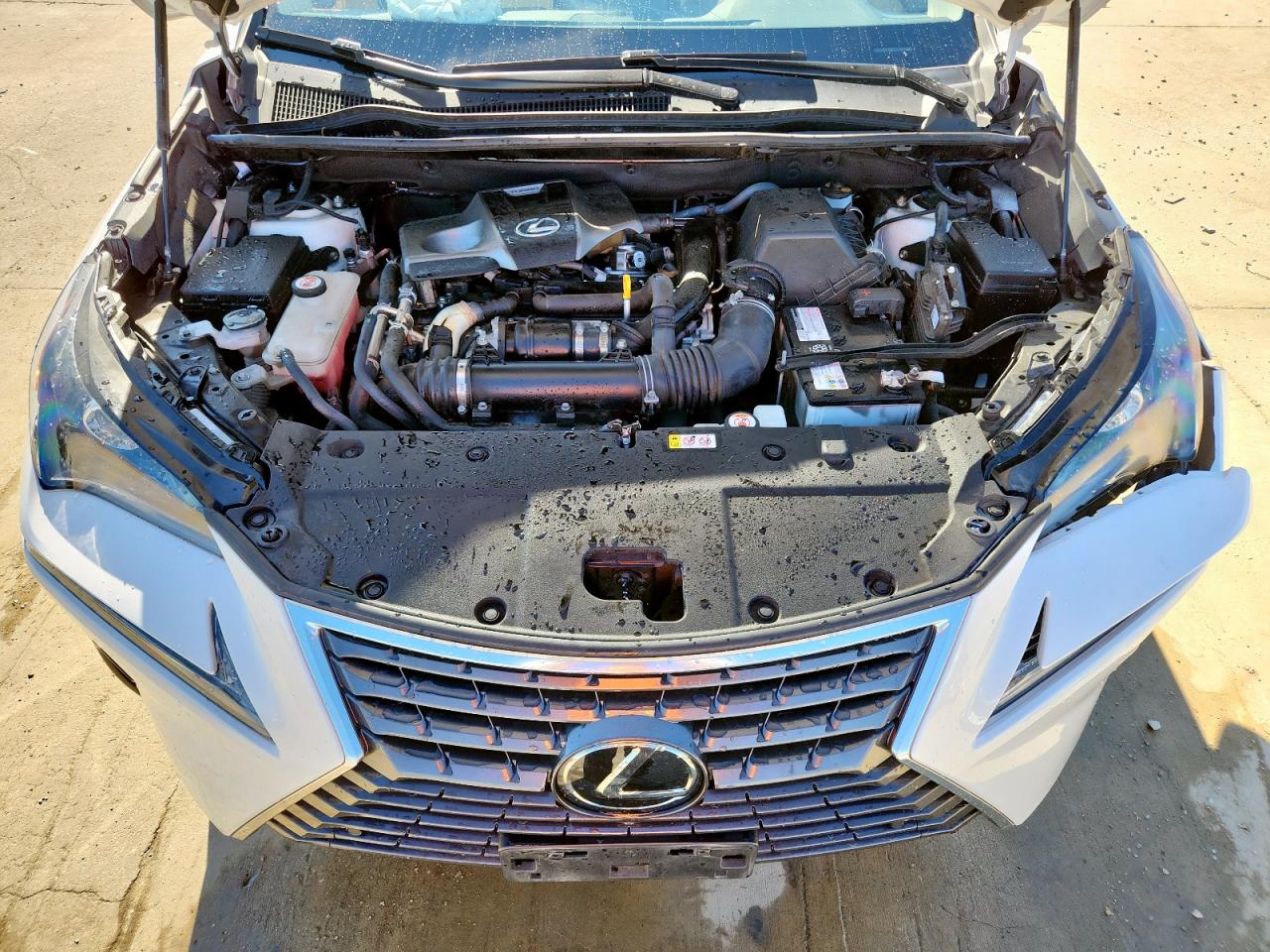 2021 Lexus Nx 300 Base VIN: JTJGARBZ0M5025207 Lot: 90848905