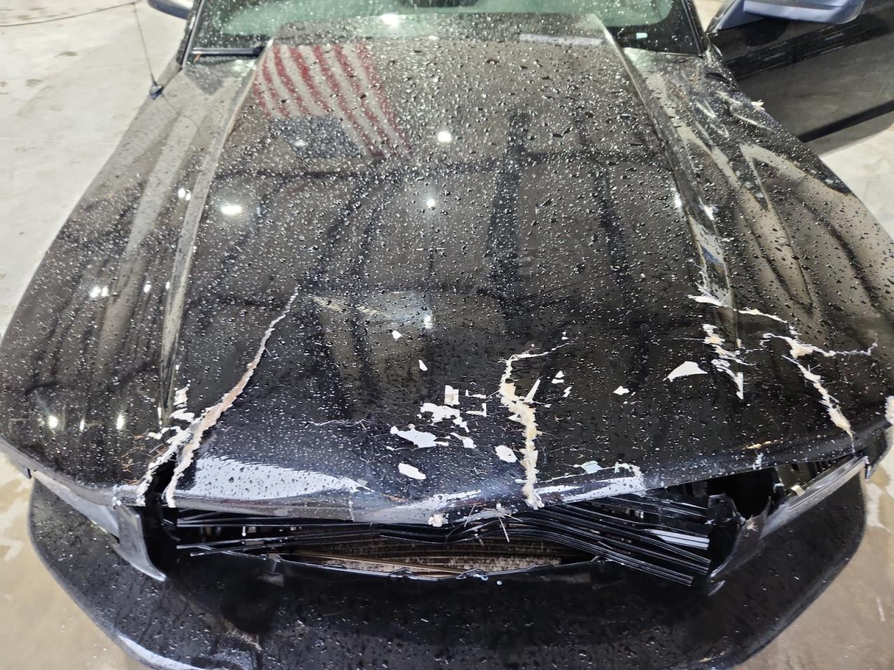 2006 Ford Mustang Gt VIN: 1ZVFT82H765167029 Lot: 94025445