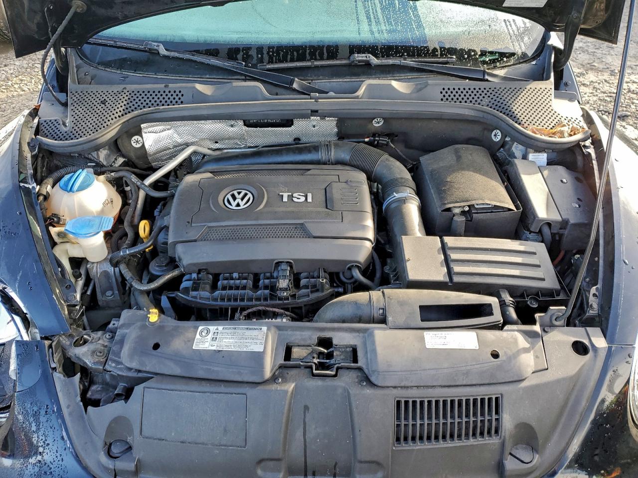 2015 Volkswagen Beetle 1.8T VIN: 3VWF17AT8FM629131 Lot: 93878905