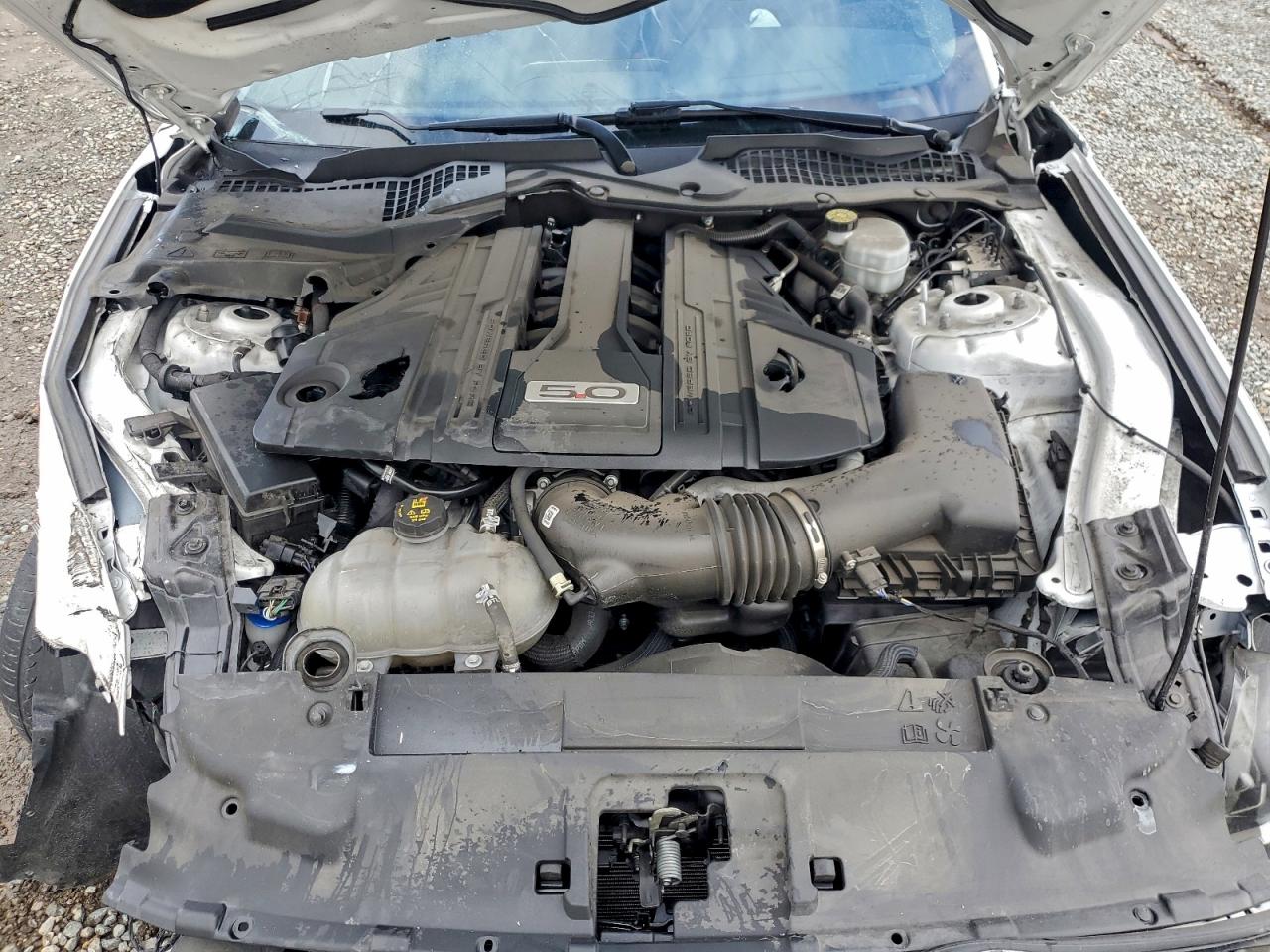 2021 Ford Mustang Gt VIN: 1FA6P8CF1M5157314 Lot: 93912375