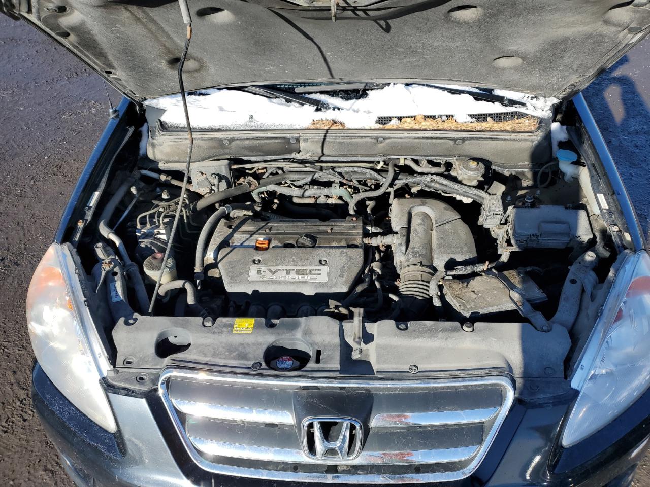 2005 Honda Cr-V Se VIN: JHLRD78955C800048 Lot: 93029405