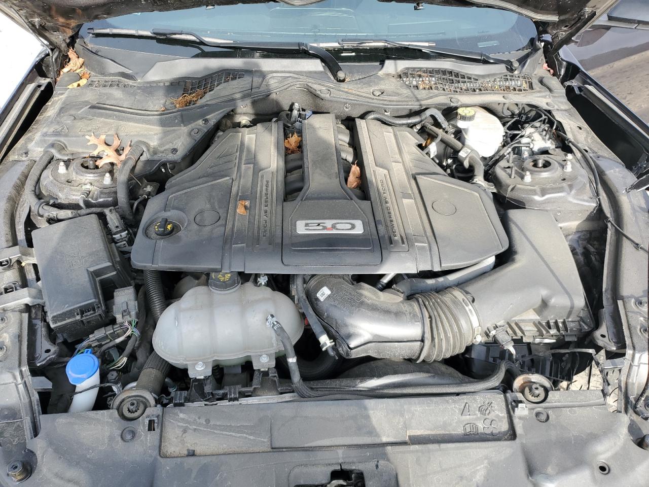 2022 Ford Mustang Gt VIN: 1FA6P8CF9N5146207 Lot: 90842955