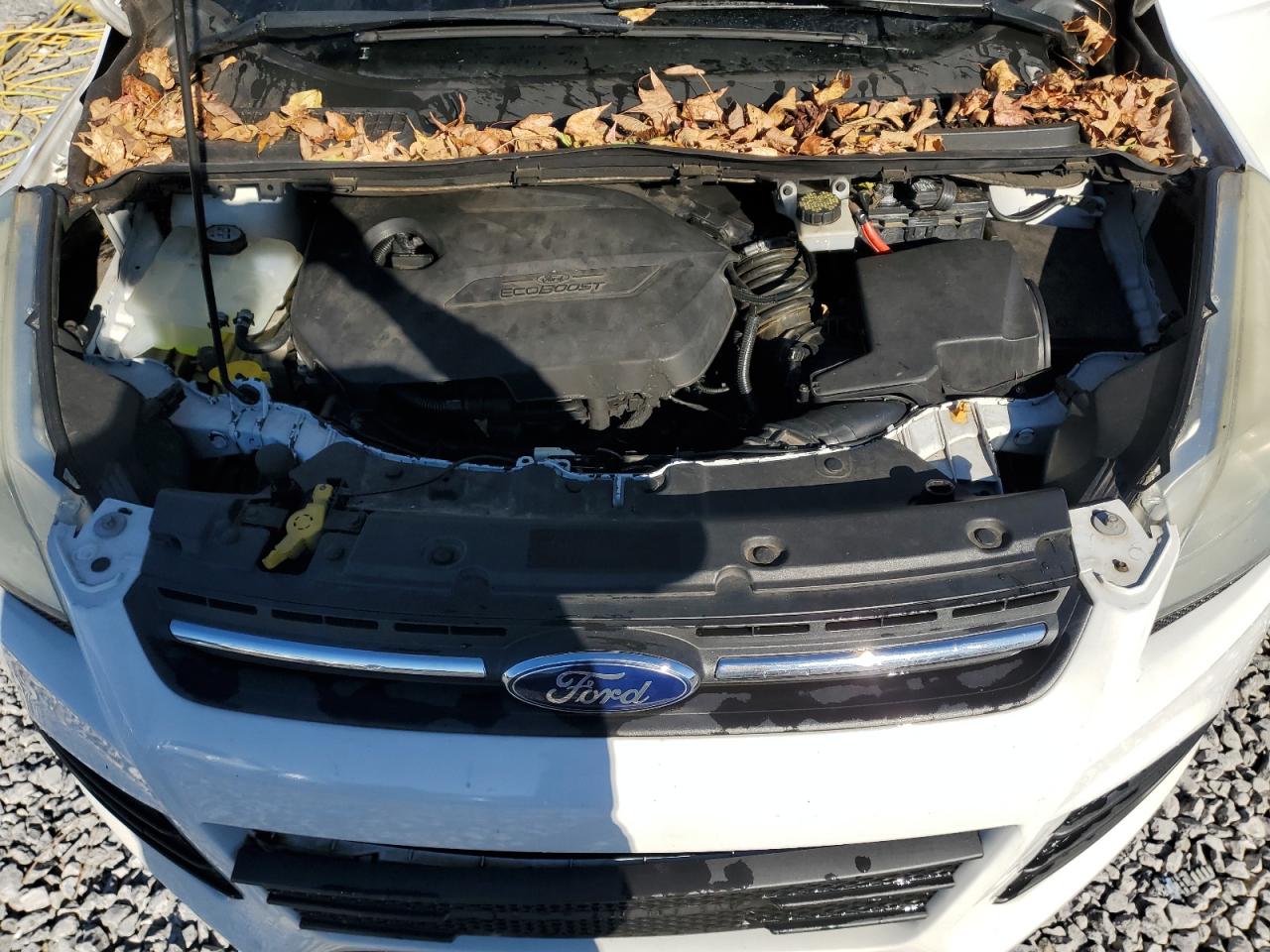 2014 Ford Escape Se VIN: 1FMCU0GX2EUD09808 Lot: 91800225