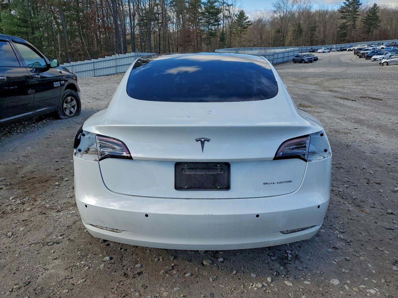 2021 Tesla Model 3 VIN: 5YJ3E1EB1MF919186 Lot: 92833165