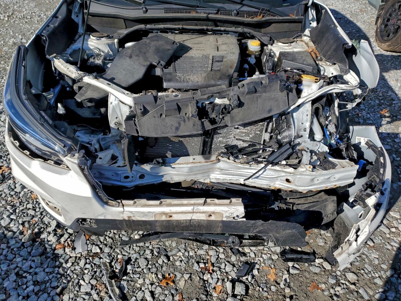 2019 Subaru Forester Premium VIN: JF2SKAGCXKH412604 Lot: 94126895