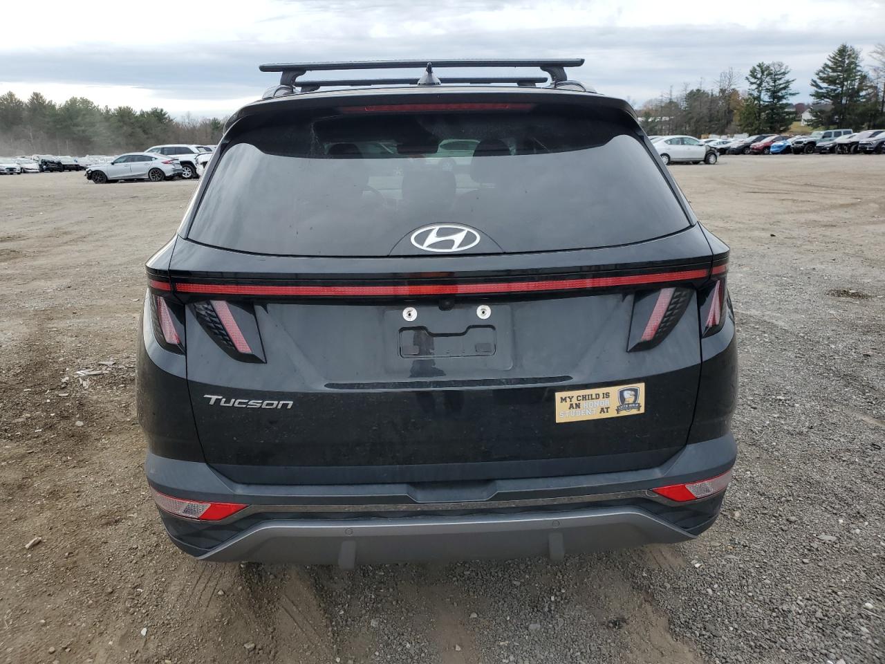 2022 Hyundai Tucson Limited VIN: 5NMJE3AEXNH091755 Lot: 93438755