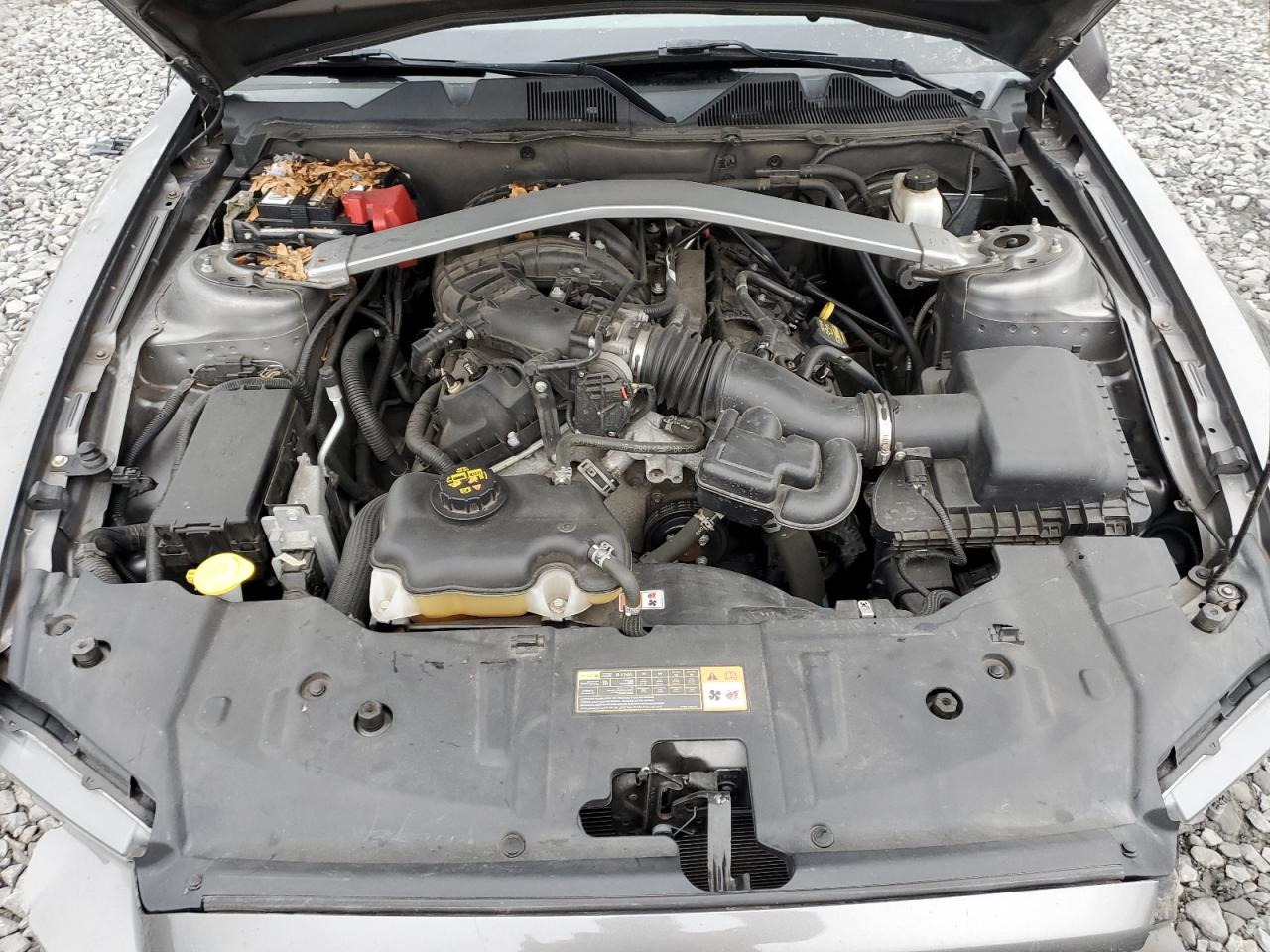 2013 Ford Mustang VIN: 1ZVBP8EM5D5244571 Lot: 92819925