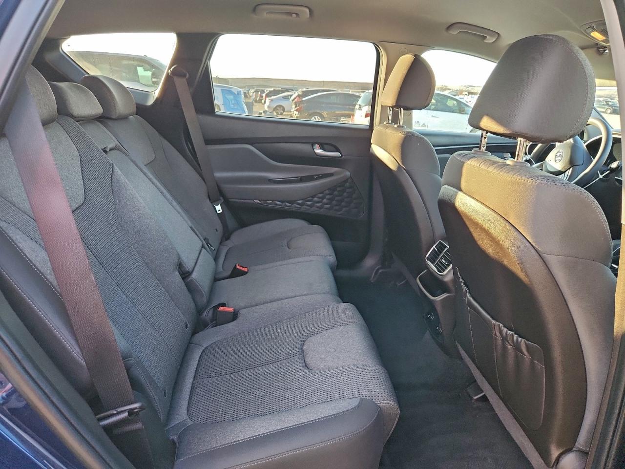 2020 Hyundai Santa Fe Sel VIN: 5NMS3CAD0LH255092 Lot: 92480085