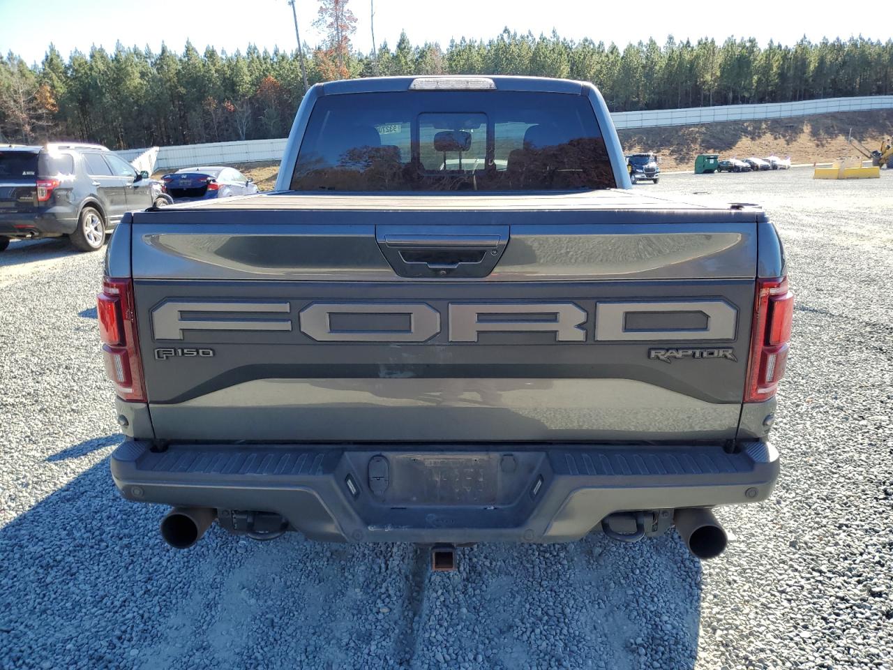 2019 Ford F150 Raptor VIN: 1FTFW1RG1KFB94195 Lot: 93270605