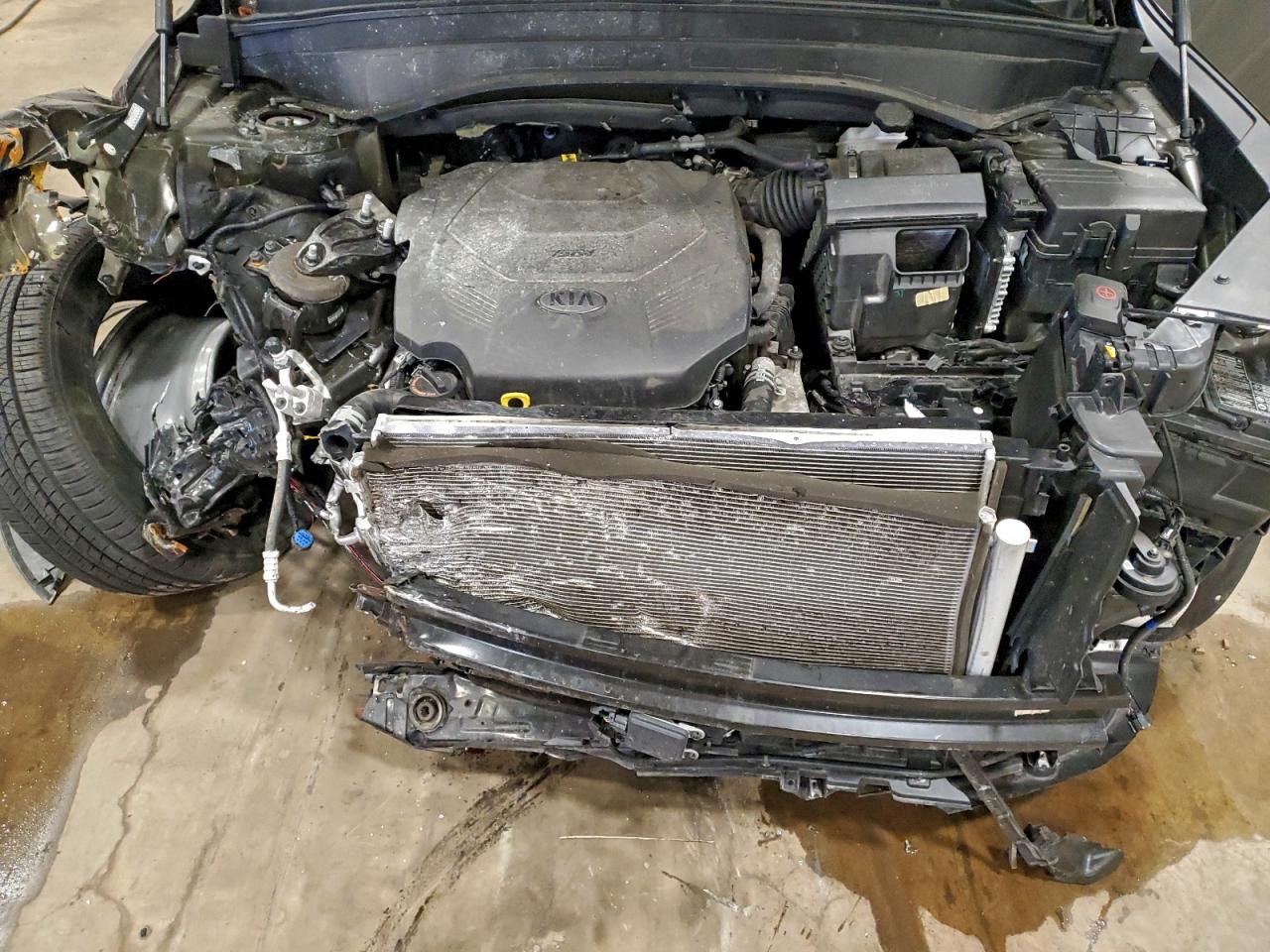 2021 Kia Telluride Ex VIN: 5XYP34HC3MG165181 Lot: 91429115