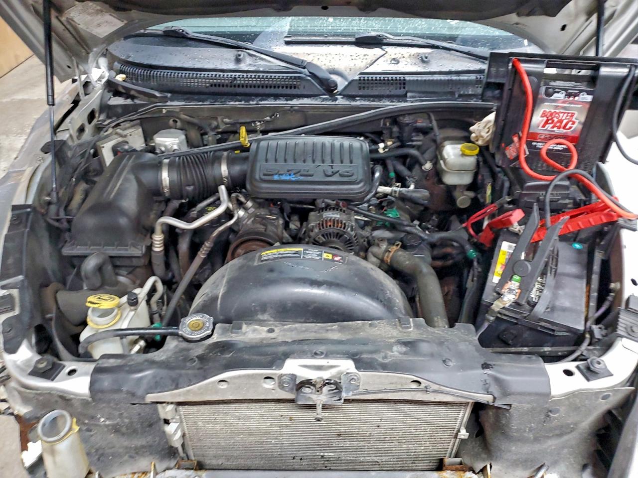 2005 Dodge Dakota Quad Slt VIN: 1D7HE48K35S331044 Lot: 93720555