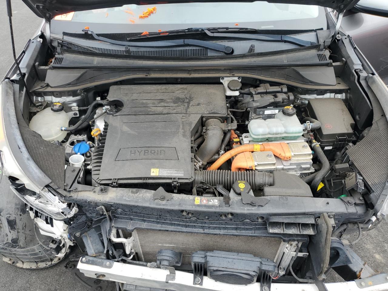 2018 Kia Niro Fe VIN: KNDCB3LC7J5203292 Lot: 92309505