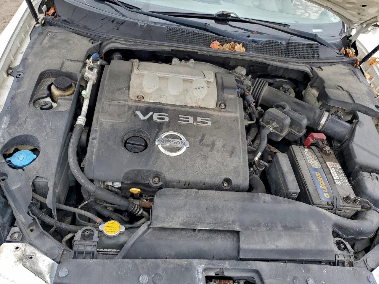 2004 Nissan Maxima Se VIN: 1N4BA41E24C861486 Lot: 93771865