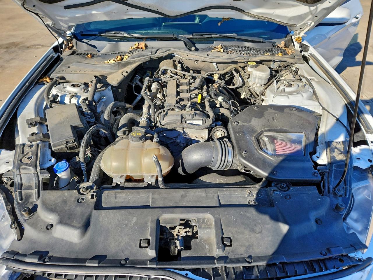 2022 Ford Mustang VIN: 1FA6P8TH7N5101638 Lot: 94450955