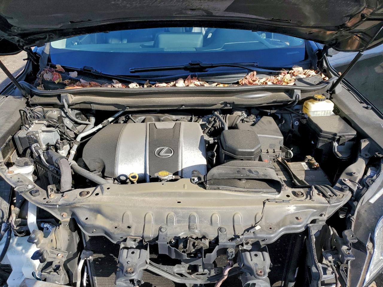 2016 Lexus Rx 350 Base VIN: 2T2BZMCA6GC046616 Lot: 93886725