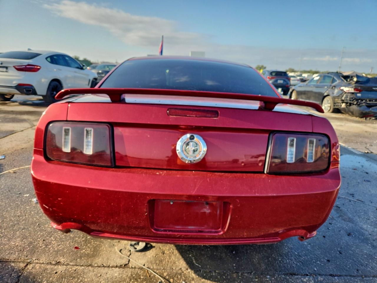 2006 Ford Mustang VIN: 1ZVFT80N665181321 Lot: 91559285