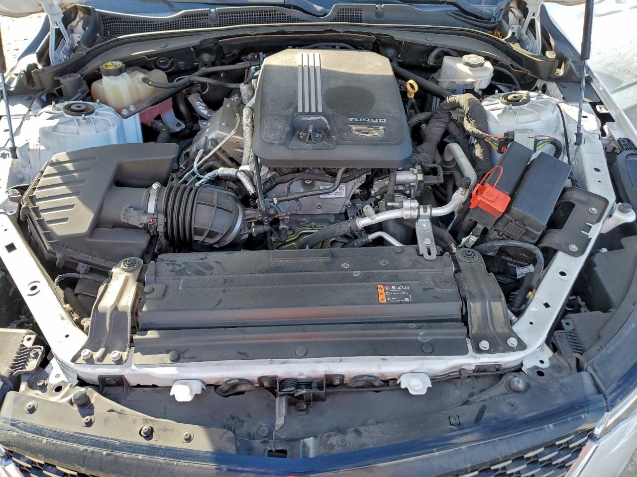 2020 Cadillac Ct4 Luxury VIN: 1G6DA5RK5L0143176 Lot: 93882475