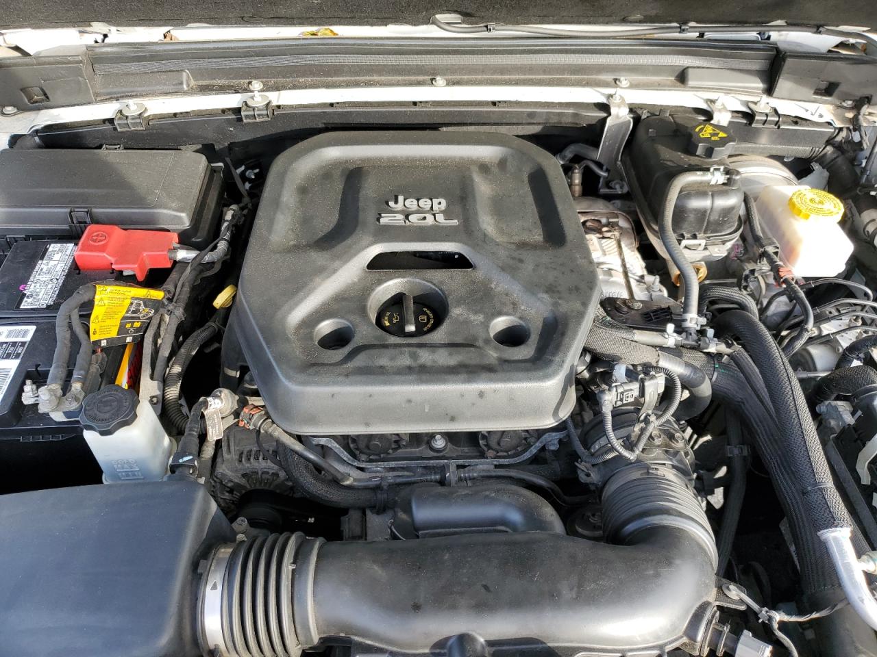 2021 Jeep Wrangler Unlimited Sahara VIN: 1C4HJXEN5MW646022 Lot: 92092035