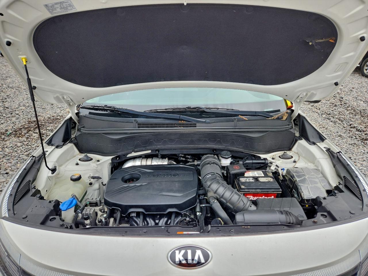 2021 Kia Seltos S VIN: KNDEUCA25M7085006 Lot: 93945095