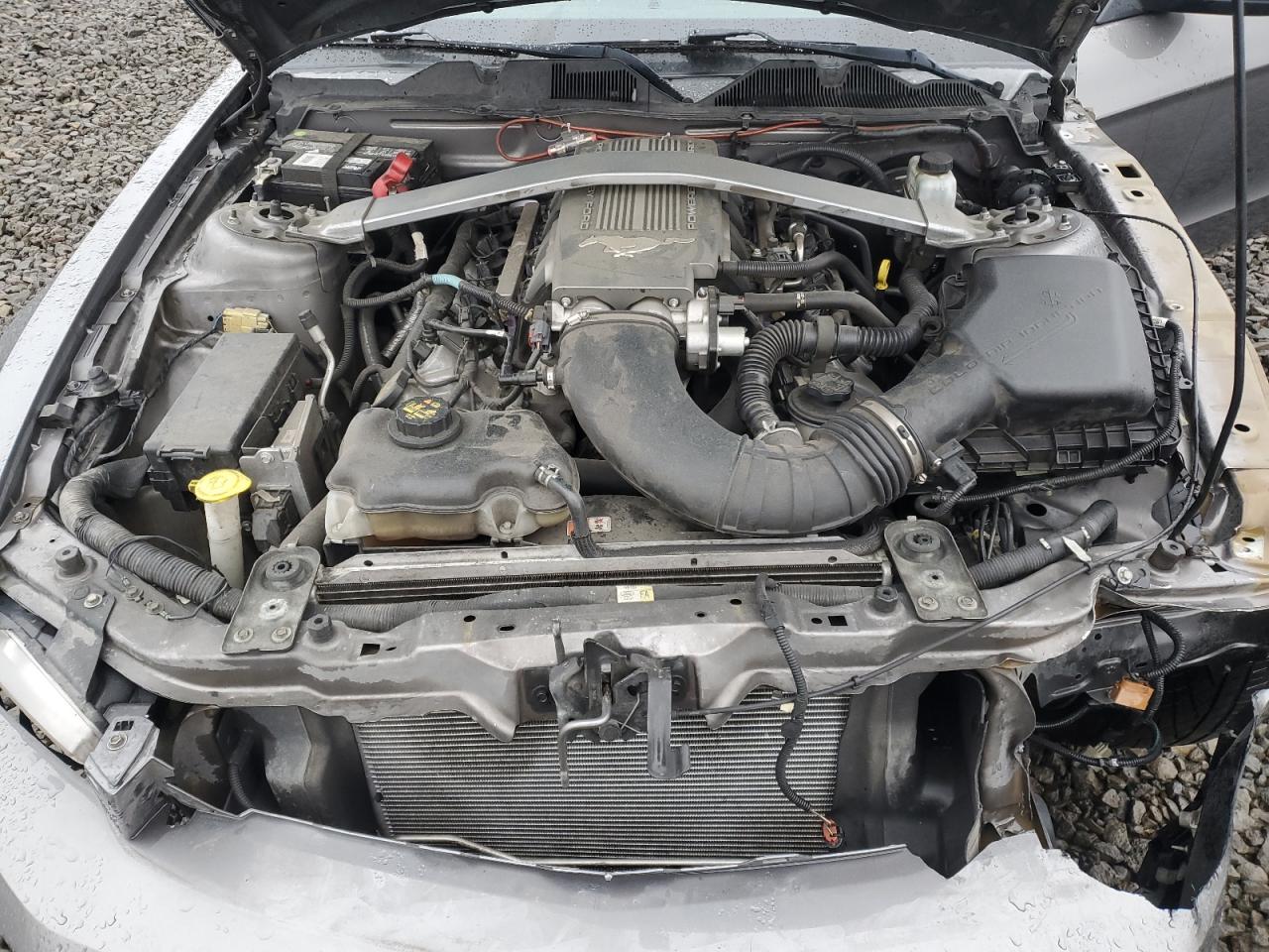 2010 Ford Mustang Gt VIN: 1ZVBP8CH1A5177095 Lot: 91042635