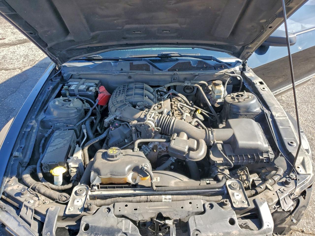 2014 Ford Mustang VIN: 1ZVBP8AM6E5279868 Lot: 93729615