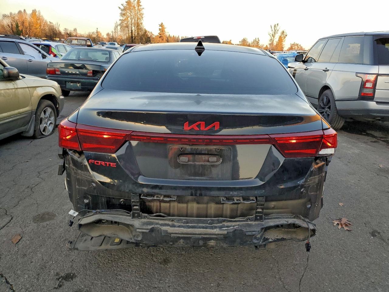 2022 Kia Forte Fe VIN: 3KPF24AD8NE464004 Lot: 93901125