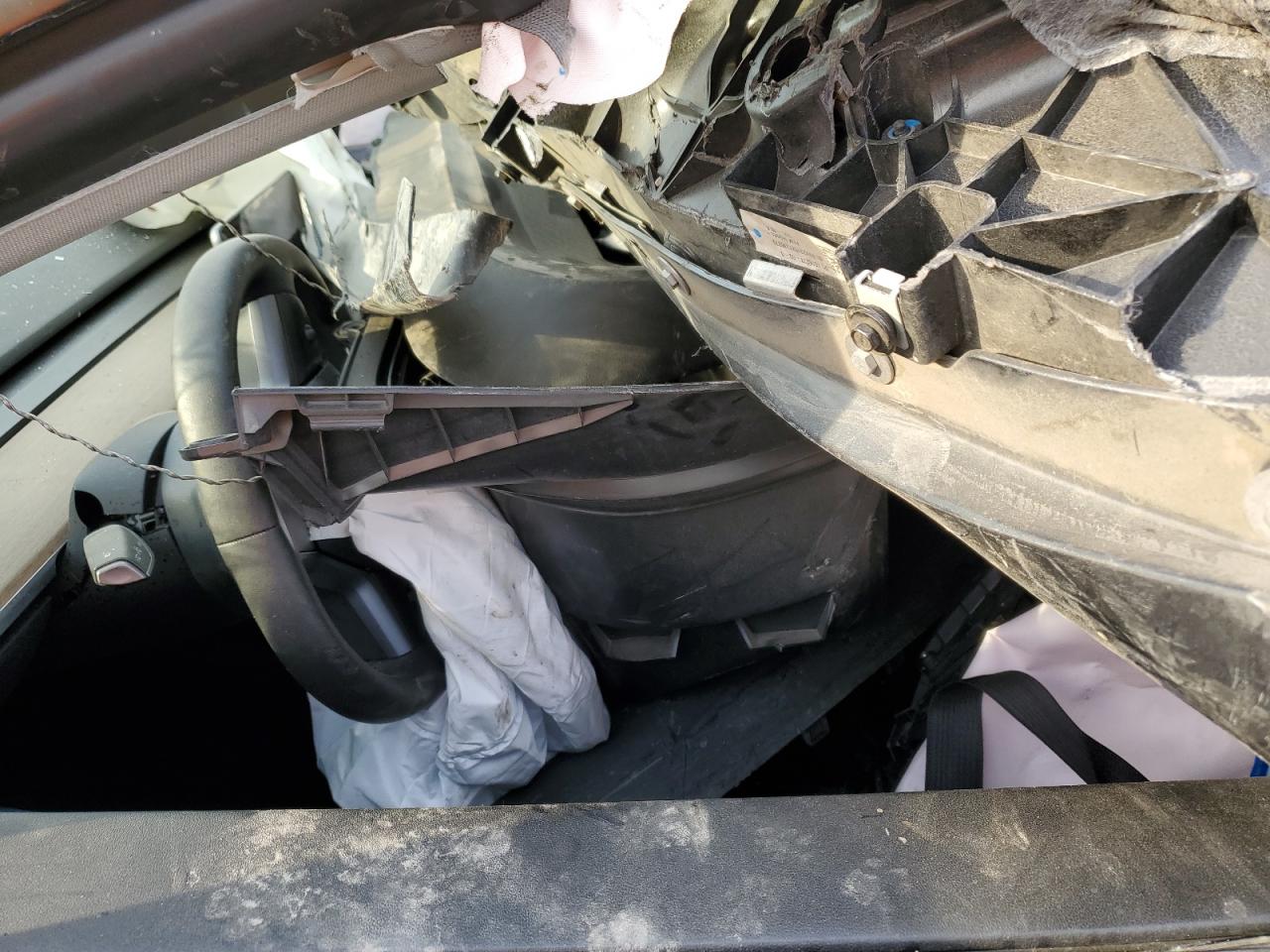 2023 Tesla Model Y VIN: 7SAYGDEFXPF813749 Lot: 92217245