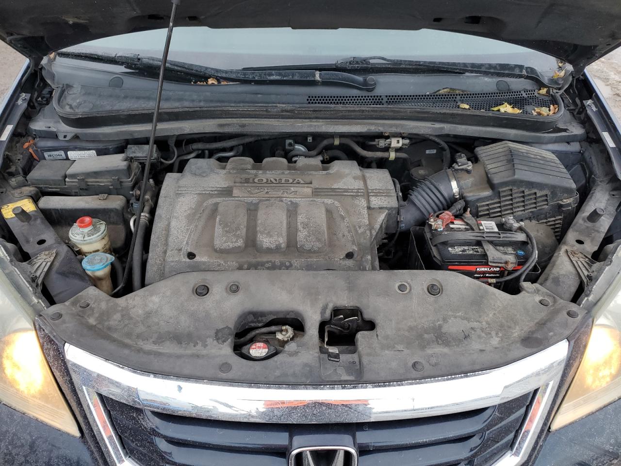 2008 Honda Odyssey Exl VIN: 5FNRL38668B503084 Lot: 91056625