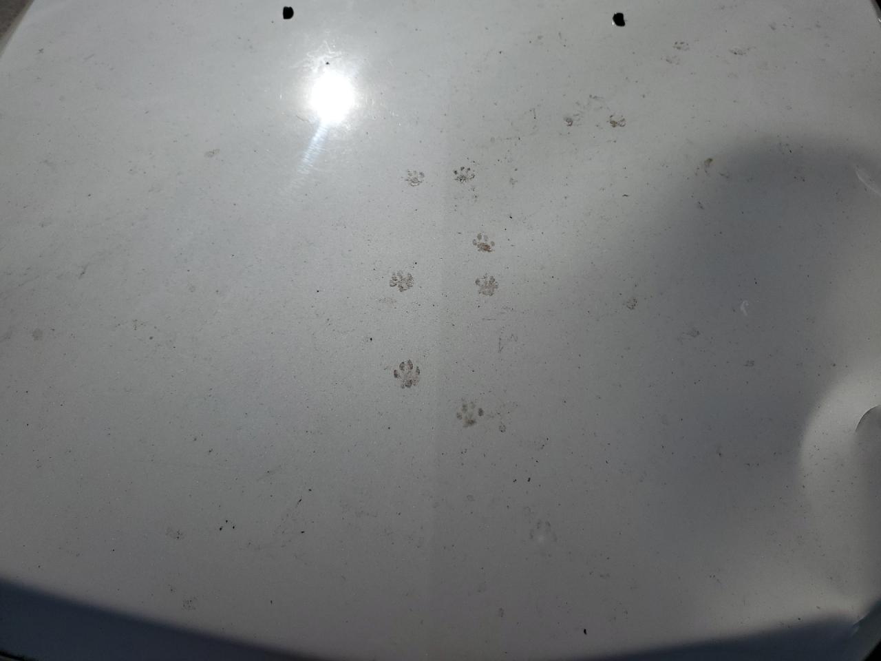 2013 Cadillac Cts Luxury Collection VIN: 1G6DE5E53D0145997 Lot: 91136625