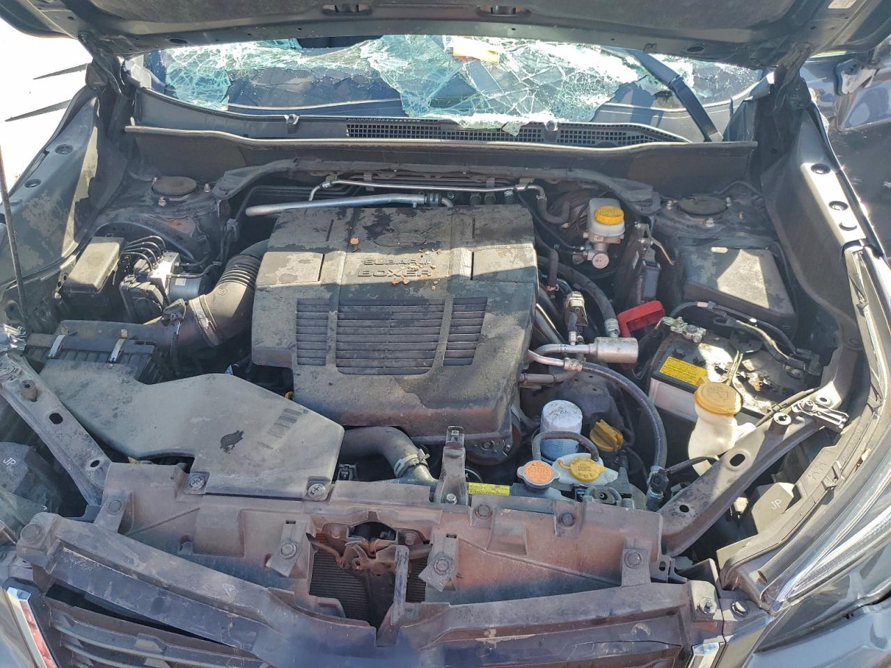 2021 Subaru Forester Limited VIN: JF2SKAUC2MH556560 Lot: 93056235