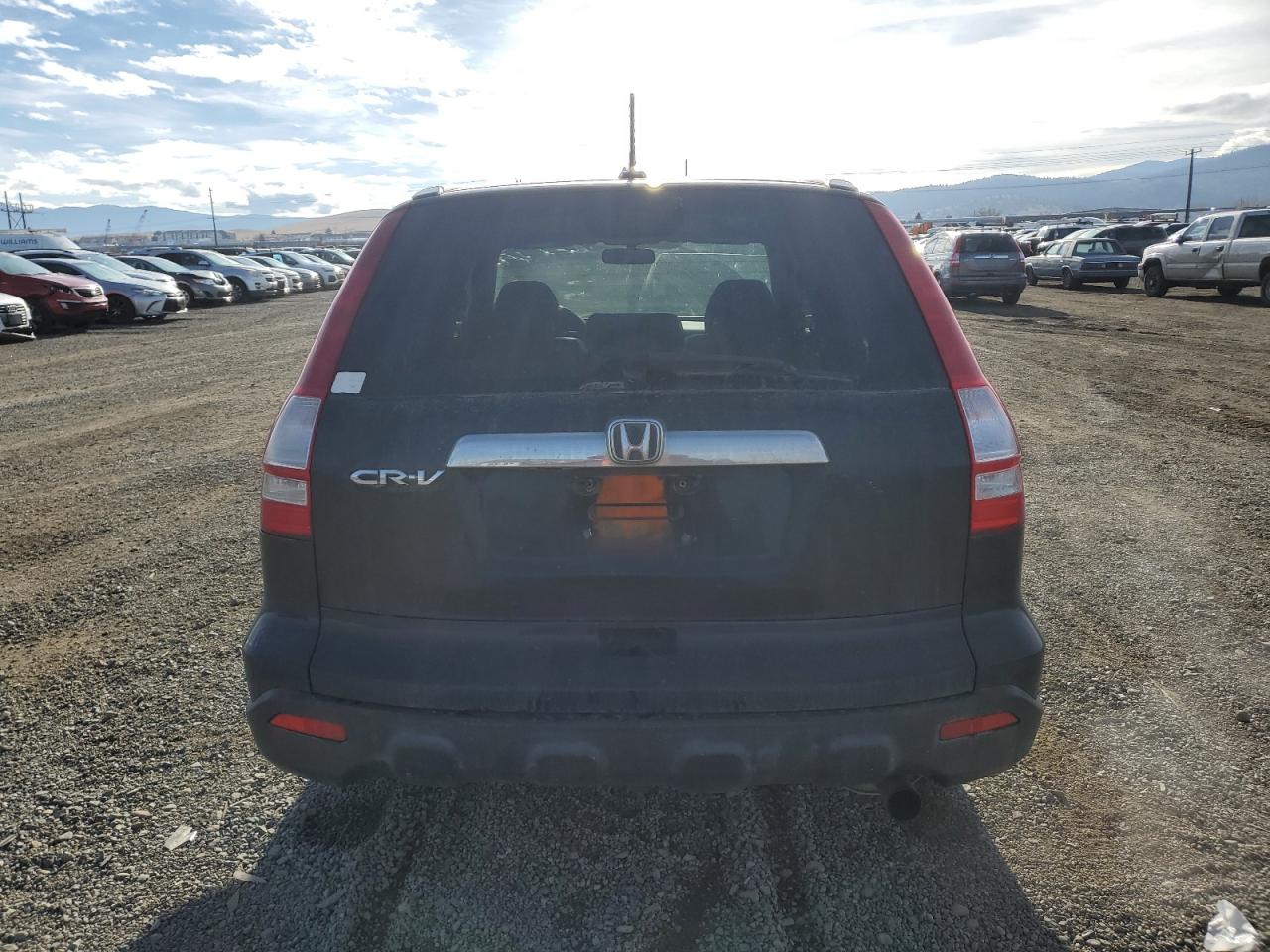 2009 Honda Cr-V Exl VIN: JHLRE48789C010419 Lot: 92292285