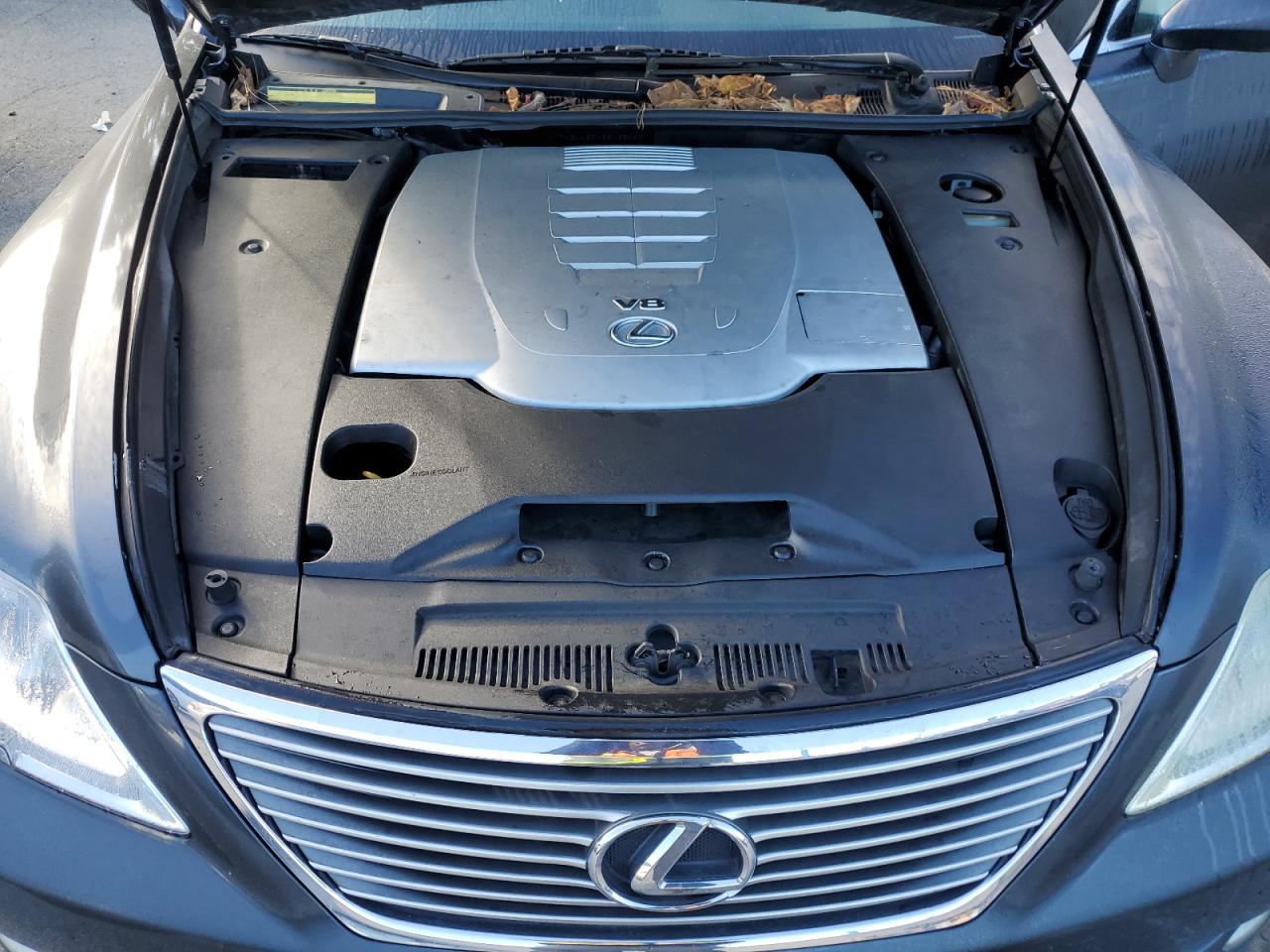 2008 Lexus Ls 460 VIN: JTHBL46FX85063462 Lot: 92849825