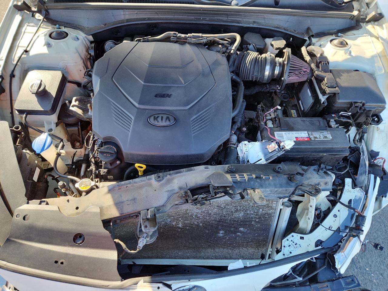 2017 Kia Cadenza Premium VIN: KNALB4J17H5067406 Lot: 92476575