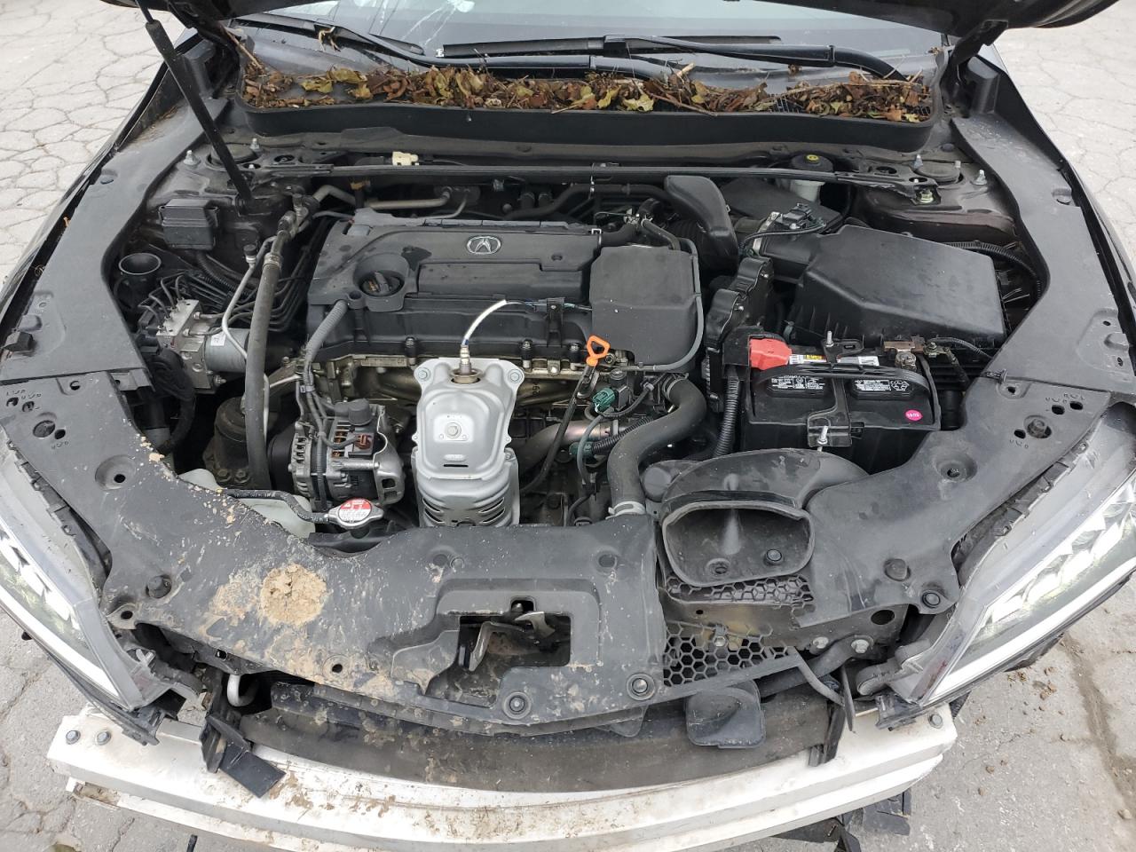 2015 Acura Tlx VIN: 19UUB1F33FA029659 Lot: 91924275