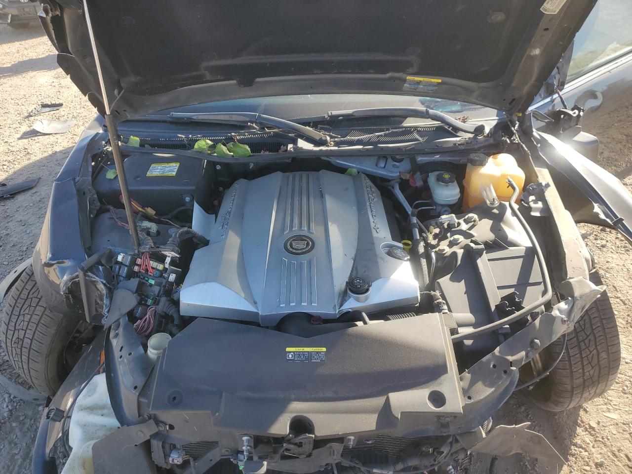 2005 Cadillac Sts VIN: 1G6DC67A750206033 Lot: 90746535