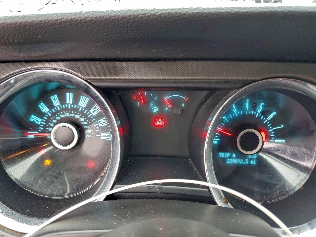 2013 Ford Mustang VIN: 1ZVBP8EM3D5237084 Lot: 93699855