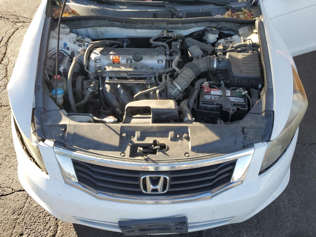 2010 Honda Accord Lx VIN: 1HGCP2F34AA131385 Lot: 93836675