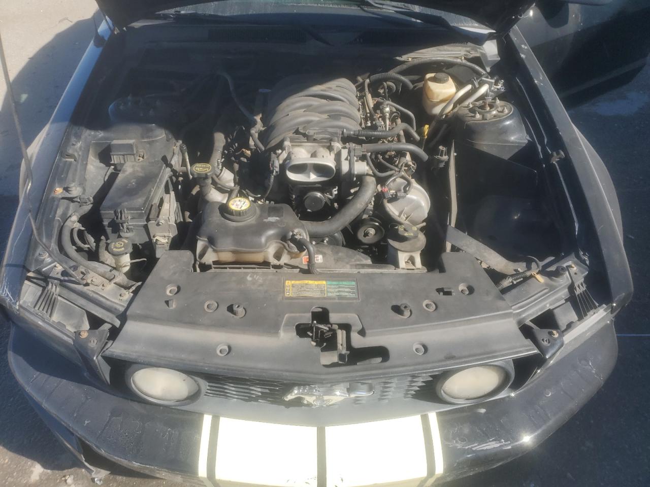 2008 Ford Mustang Gt VIN: 1ZVHT85H185103379 Lot: 91039645