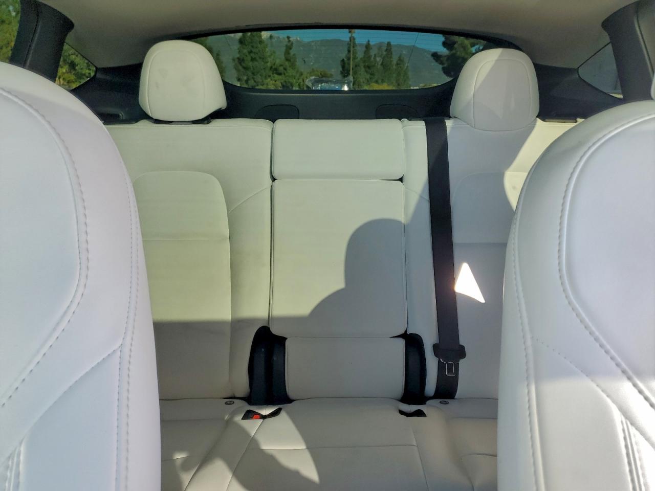 2024 Tesla Model Y VIN: 7SAYGDEE6RF106755 Lot: 94198085