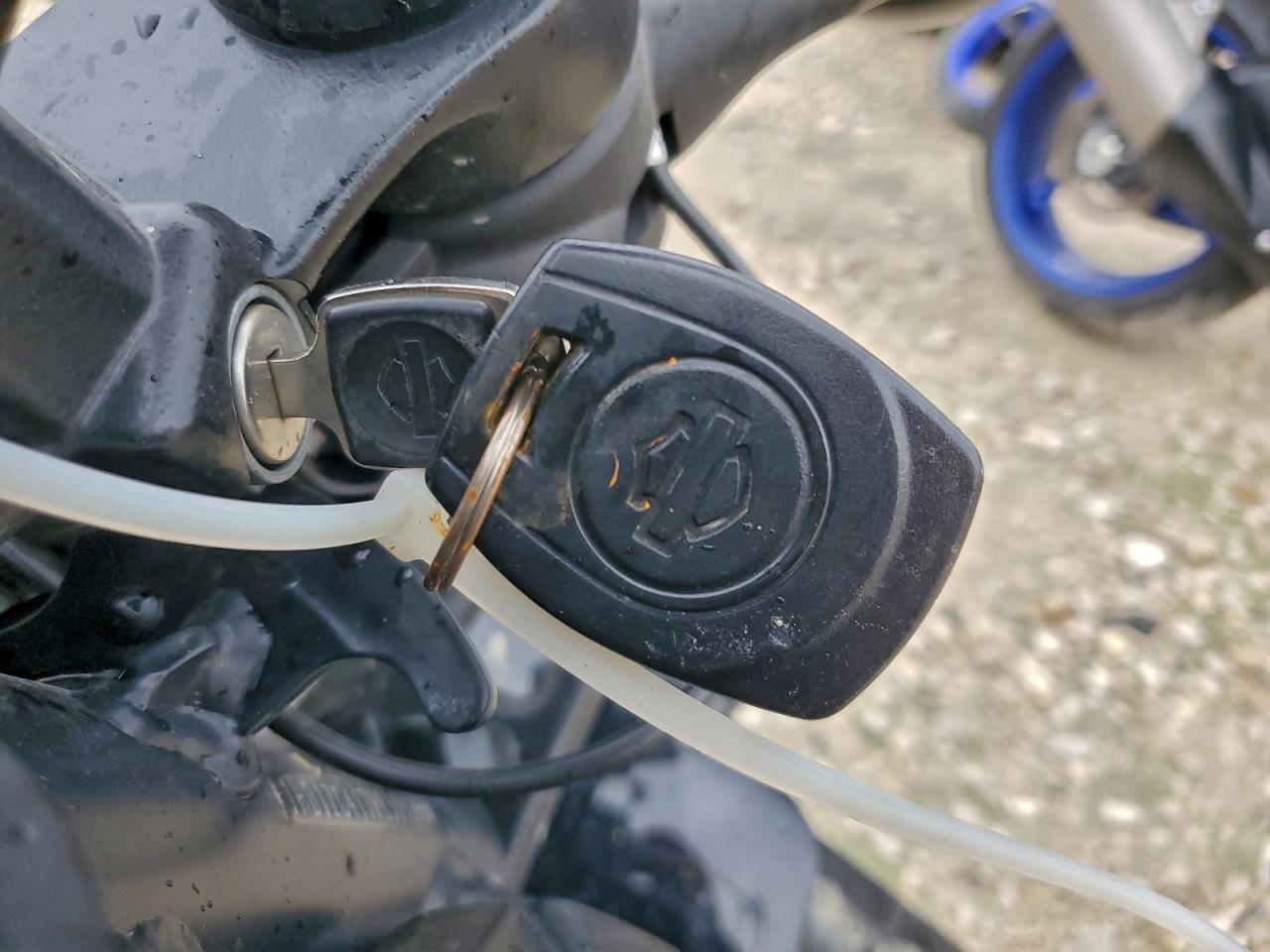 2024 Harley-Davidson Rh1250 S VIN: 1HD1ZC417RB309155 Lot: 93408705