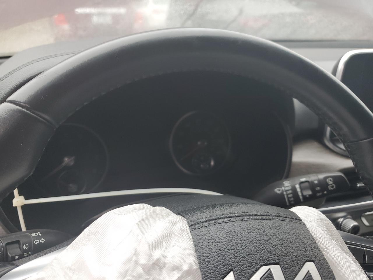 2022 Kia Telluride Sx VIN: 5XYP54HCXNG195337 Lot: 92908415